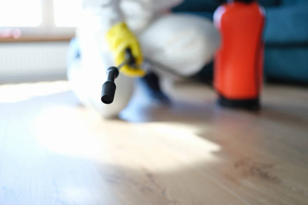 Best Post-Remediation Verification Testing  in Adel, IA