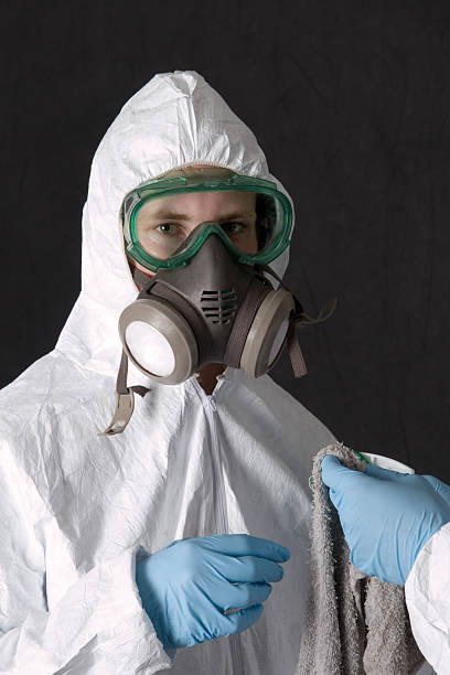Best Environmental Consulting for Mold Prevention  in Adel, IA